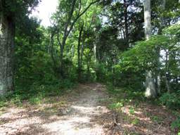 Booker T Washington State Park