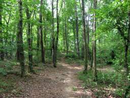 Booker T Washington State Park