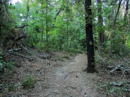 Booker T Washington State Park