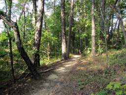 Booker T Washington State Park