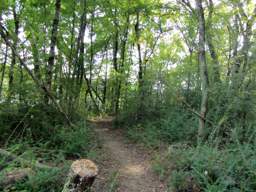 Booker T Washington State Park