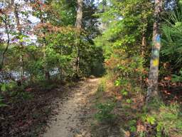 Booker T Washington State Park