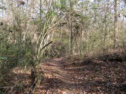 Booker T Washington State Park