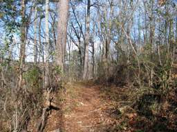 Booker T Washington State Park
