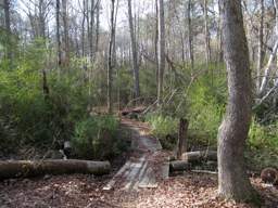 Booker T Washington State Park