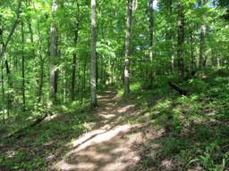 Booker T Washington State Park