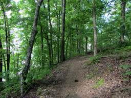 Booker T Washington State Park