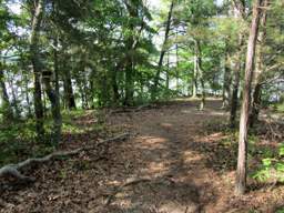 Booker T Washington State Park