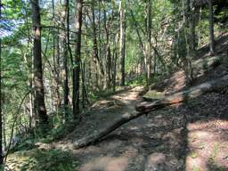 Cumberland Trail - North Chickamauga Creek