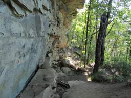 Cumberland Trail - North Chickamauga Creek