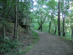 Cumberland Trail - North Chickamauga Creek