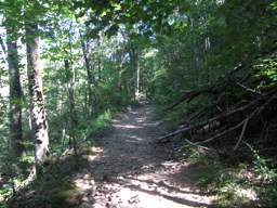 Cumberland Trail - North Chickamauga Creek