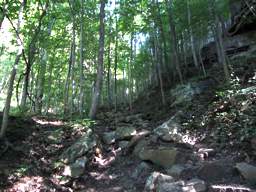 Cumberland Trail - North Chickamauga Creek