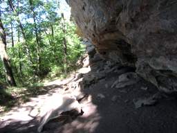 Cumberland Trail - North Chickamauga Creek