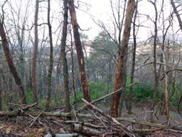 Stringer's Ridge Park