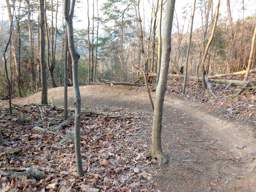 Stringer's Ridge Park