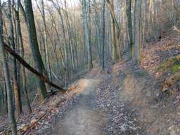 Stringer's Ridge Park