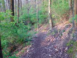 Stringer's Ridge Park