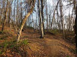 Stringer's Ridge Park