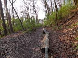 Stringer's Ridge Park