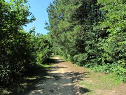 Greenway Farm