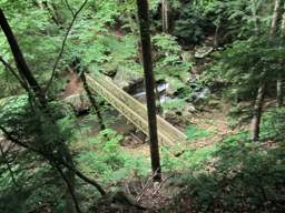 Cumberland Trail - Possum Creek Gorge