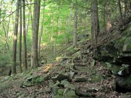 Cumberland Trail - Possum Creek Gorge