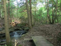 Cumberland Trail - Possum Creek Gorge